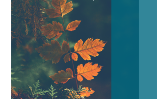 herfstmodus
